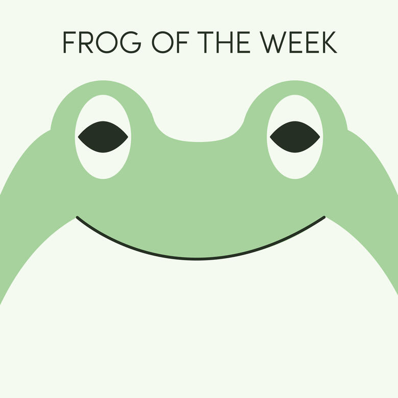 Frog of the Week Frog of the Week